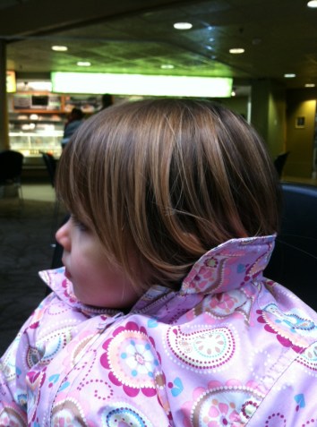 I took this closeup at the Woodland Park zoo as we enjoyed a truly awful dining experience.  Can't see them can you?